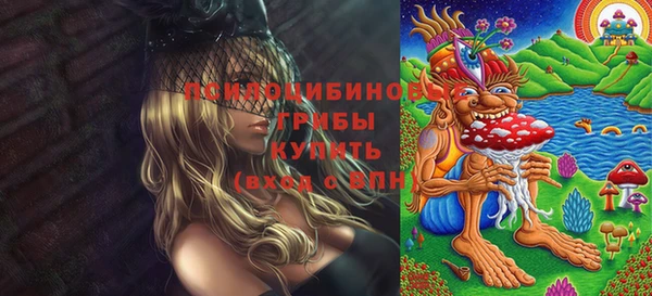 каннабис Новозыбков