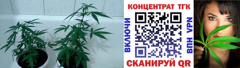 Дистиллят ТГК вейп Ленинградская