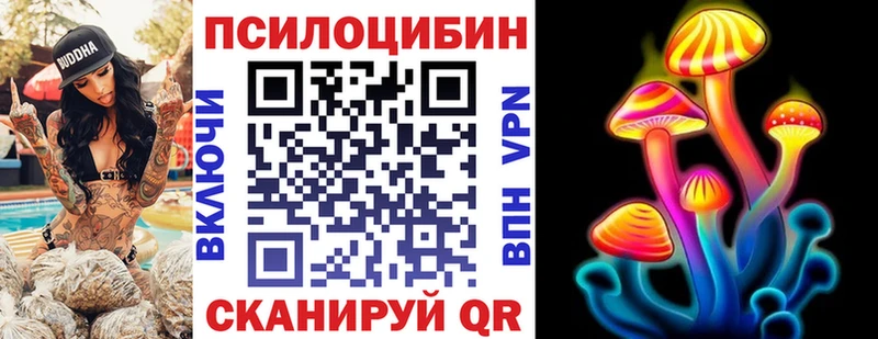 Псилоцибиновые грибы GOLDEN TEACHER  Ленинградская 