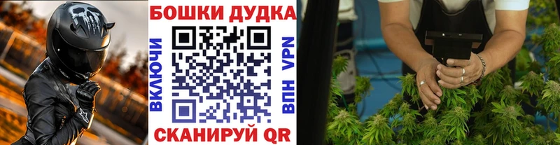 Каннабис SATIVA & INDICA Ленинградская